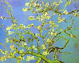 Branches of Almond tree in Bloom by Vincent van Gogh